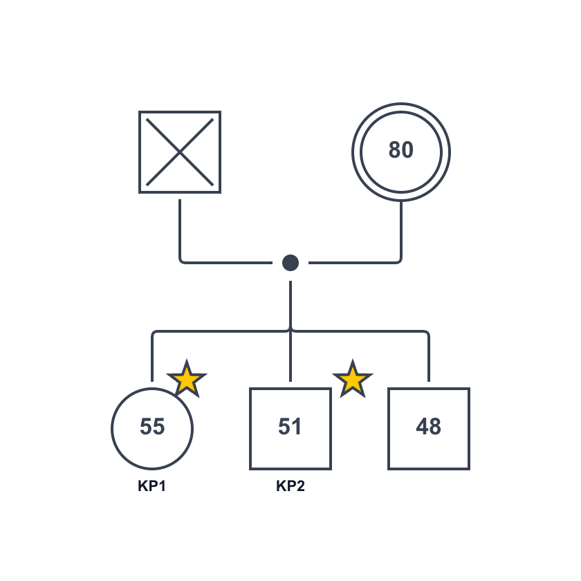 キーパーソンが複数いるジェノグラムの例